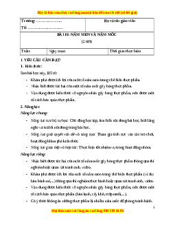 Giáo án Bài 16 Khoa học lớp 4 (Cánh diều): Nấm men và nấm mốc