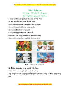 Lý thuyết Công nghệ 7 Chân trời sáng tạo Bài 1: Nghề trồng trọt ở Việt Nam