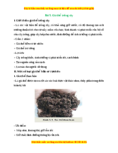 Lý thuyết Bài 5: Giá thể trồng cây