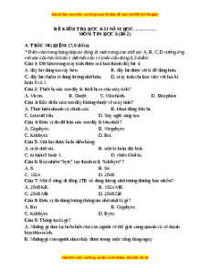 Đề thi cuối kì 1 Tin học 6 Kết nối tri thức - Đề 2