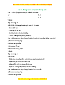 Trắc nghiệm Công nghệ 7 Bài 11 Kết nối tri thức: Phòng và trị bệnh cho vật nuôi