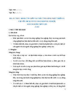 Giáo án Bài 15 Địa lí 12 Chân trời sáng tạo (2024): Thực hành