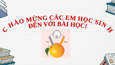 Giáo án Powerpoint Ôn tập chương 5 Hóa học 12 Kết nối tri thức