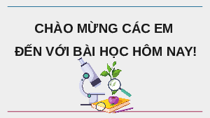 Giáo án Powerpoint Bài 49: Khái niệm tiến hoá và các hình thức chọn lọc KHTN 9 Kết nối tri thức