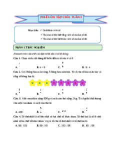 Bài tập cuối tuần Toán lớp 5 Cánh diều Tuần 3