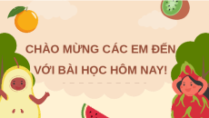 Giáo án Powerpoint Sự thống nhất về cấu trúc và các hoạt động sống trong cơ thể sinh vật Sinh học - KHTN 7 Cánh diều