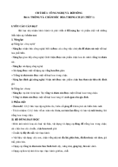 Giáo án Bài 6 Công nghệ lớp 4 Cánh diều: Trồng và chăm sóc hoa trong chậu