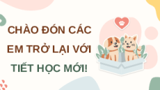 Giáo án Powerpoint Chuyên đề Bài 6: Giới thiệu về động vật cảnh Công nghệ chăn nuôi 11 Kết nối tri thức