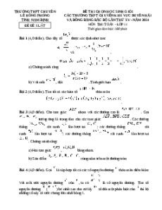 Đề thi HSG Toán 11 Trường THPT Chuyên Lê Hồng Phong - Nam Định