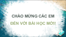 Giáo án Powerpoint Bài 5 Địa lí 9 Kết nối tri thức: Lâm nghiệp và thuỷ sản