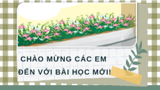 Giáo án Powerpoint Đọc: Chân trời cuối phố (trang 59, 60) Tiếng việt lớp 4 Kết nối tri thức