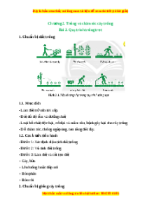 Lý thuyết Công nghệ 7 Chân trời sáng tạo Bài 3: Quy trình trồng trọt