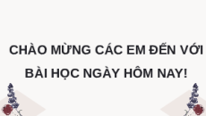 Giáo án Powerpoint Bài 4: Khách quan và công bằng Giáo dục công dân 9 Kết nối tri thức