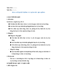 Giáo án chuyên đề Bài 6: Kĩ thuật trồng và chăm sóc hoa hồng Công nghệ trồng trọt 10 Kết nối tri thức