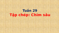 Giáo án Powerpoint Chính tả: Tập chép: Chim sâu Tiếng việt lớp 1 Cánh diều