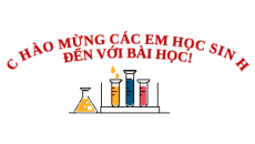 Giáo án Powerpoint Xà phòng và chất giặt rửa Hóa học 12 Kết nối tri thức