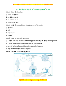 Trắc nghiệm Các cấp độ tổ chức trong cơ thể đa bào KHTN 6 Chân trời sáng tạo