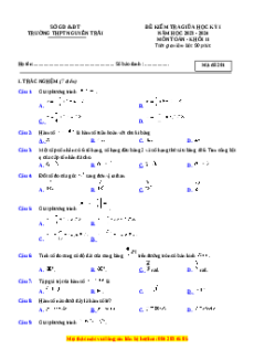 Đề thi giữa kì 1 Toán 11 trường THPT Nguyễn Trãi - TP Hồ Chí Minh năm 2023-2024