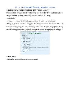 Lý thuyết Thực hành về quang hợp ở cây xanh KHTN 7 Cánh diều