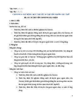 Giáo án Bài 15 Sinh học 12 Kết nối tri thức: Di truyền gene ngoài nhân