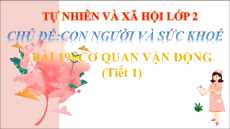 Giáo án Powerpoint Bài 19 Tự nhiên xã hội lớp 2 Chân trời sáng tạo: Cơ quan vận động