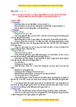 Giáo án Bài 33 Địa lí 10 Chân trời sáng tạo (2024): Cơ cấu, vai trò, đặc điểm và các nhân tố ảnh hưởng đên sự phát triển, phân bố dịch vụ