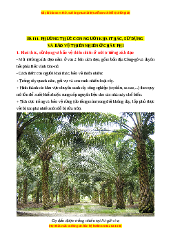Lý thuyết Địa lý 7 Kết nối tri thức Bài 11: Phương thức con người khai thác, sử dụng và bảo vệ thiên nhiên ở Châu Phi