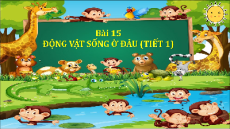 Giáo án Powerpoint Bài 15 Tự nhiên xã hội lớp 2 Chân trời sáng tạo: Động vật sống ở đâu