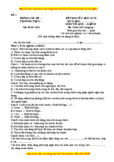 Đề thi giữa kì 2 Tin học 8 Chân trời sáng tạo (Đề 4)