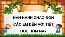 Giáo án Powerpoint Bài 4: Hoa cỏ sân trường Tiếng việt lớp 3 Chân trời sáng tạo