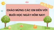 Giáo án Powerpoint Bài 4 Công nghệ lớp 4 Chân trời sáng tạo: Trồng cây cảnh trong chậu
