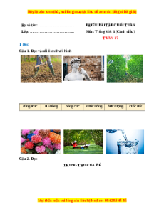 Bài tập cuối tuần Tiếng việt lớp 1 Tuần 17 Cánh diều (có lời giải)
