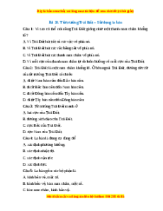 Trắc nghiệm Từ trường Trái Đất – Sử dụng la bàn KHTN 7 Chân trời sáng tạo