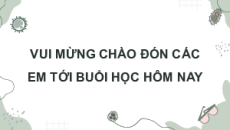 Giáo án Powerpoint Ôn tập chủ đề 1 Sinh học 11 Cánh diều
