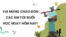 Giáo án Powerpoint Bài 3: Một số ứng dụng CNSH trong sản xuất phân bón Chuyên đề Công nghệ trồng trọt 10 Kết nối tri thức