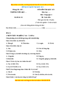 Đề thi cuối kì 1 Công nghệ lớp 4 Cánh diều (Đề 3)