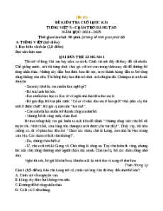 Đề thi cuối kì 1 Tiếng Việt lớp 5 Chân trời sáng tạo (Đề 10)