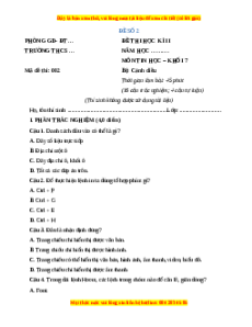 Đề thi cuối kì 2 Tin học 7 Cánh diều (Đề 2)