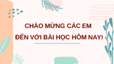 Giáo án Powerpoint Sinh học 10 Cánh diều: Ôn tập Phần 2 (trang 101)