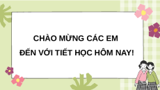 Giáo án Powerpoint Bài 25: Sinh trưởng và sinh sản ở vi sinh vật Sinh học 10 Chân trời sáng tạo