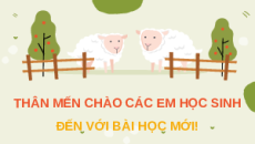 Giáo án Powerpoint Bài 9 Sinh học 11 Chân trời sáng tạo: Hô hấp ở động vật