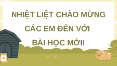 Giáo án Powerpoint Công nghệ chăn nuôi 11 Kết nối tri thức: Ôn tập chương 4