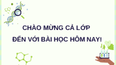 Giáo án Powerpoint chuyên đề Bài 1: Khái quát sinh học phân tử và thành tựu Sinh học 12 Kết nối tri thức