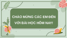 Giáo án Powerpoint Các nhân tố ảnh hưởng đến sinh trưởng và phát triển ở động vật Sinh học 11 Cánh diều