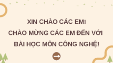 Giáo án Powerpoint Ôn tập chương 2 Công nghệ 12 Kết nối tri thức