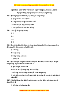 Trắc nghiệm Năng lượng và sự chuyển hóa năng lượng Vật lí 9