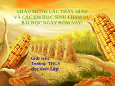 Giáo án Powerpoint Hình có tâm đối xứng Toán 6 Kết nối tri thức