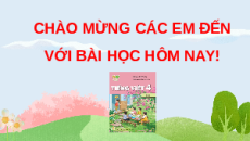 Giáo án Powerpoint Luyện từ và câu: Hai thành phần chính của câu (trang 18) Tiếng việt lớp 4 Kết nối tri thức (Phiên bản 2)