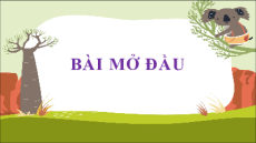 Bài giảng Powerpoint Ngữ văn 11 Cánh diều