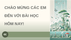 Giáo án Powerpoint Bài 13: Di truyền học quần thể Sinh học 12 Cánh diều